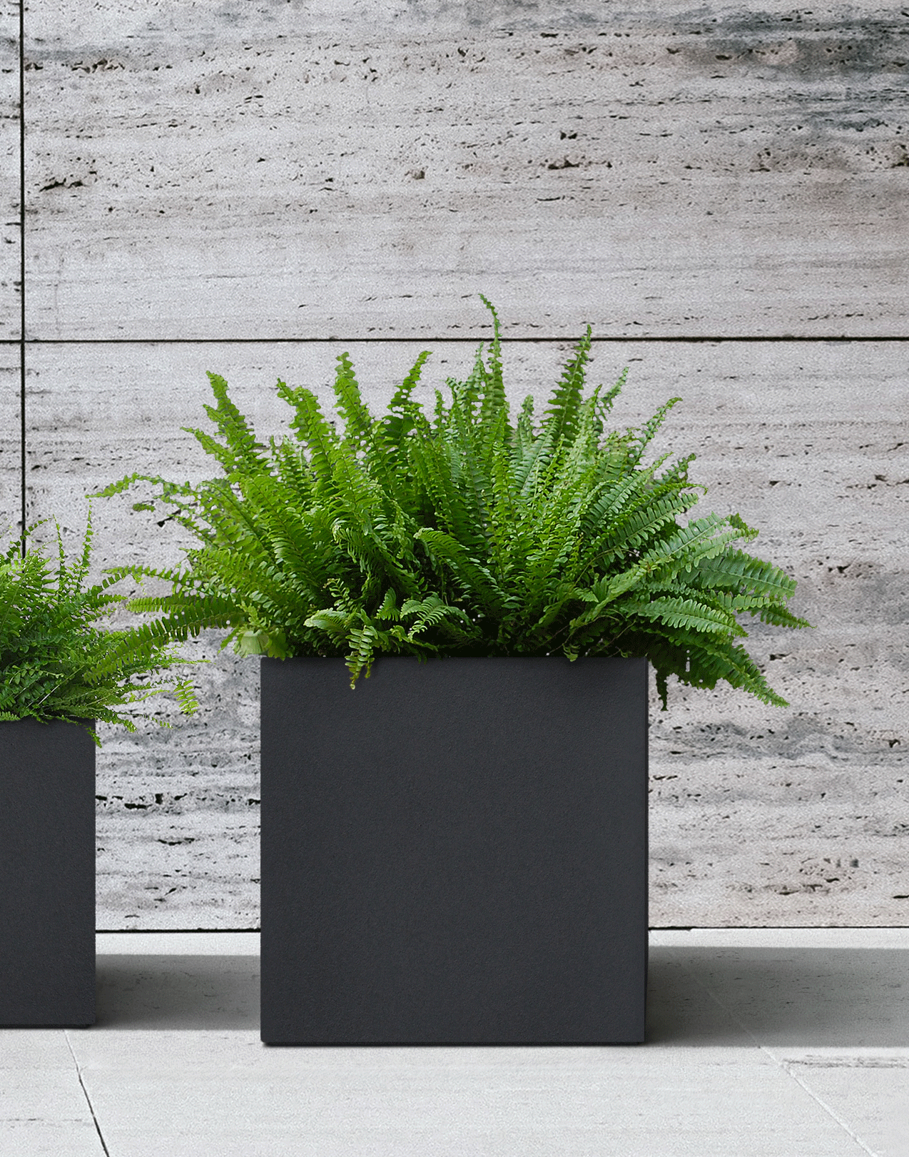 Kollektion | Pure - ESCHBACH