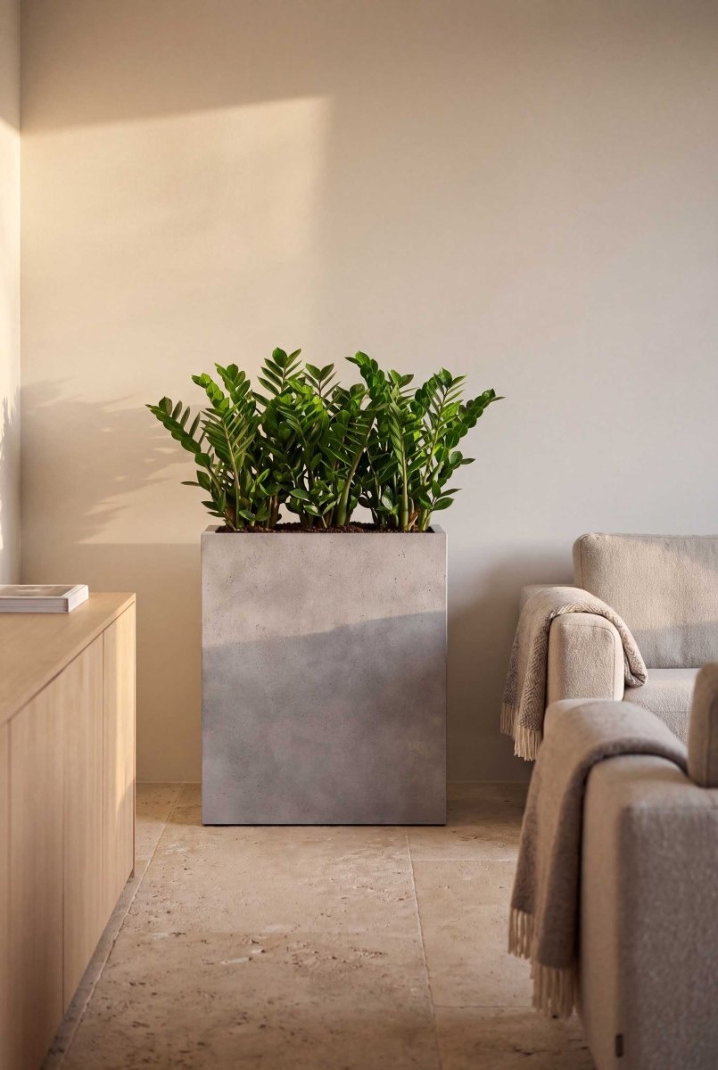 High Box | Loft Collection | Light Grey - ESCHBACH