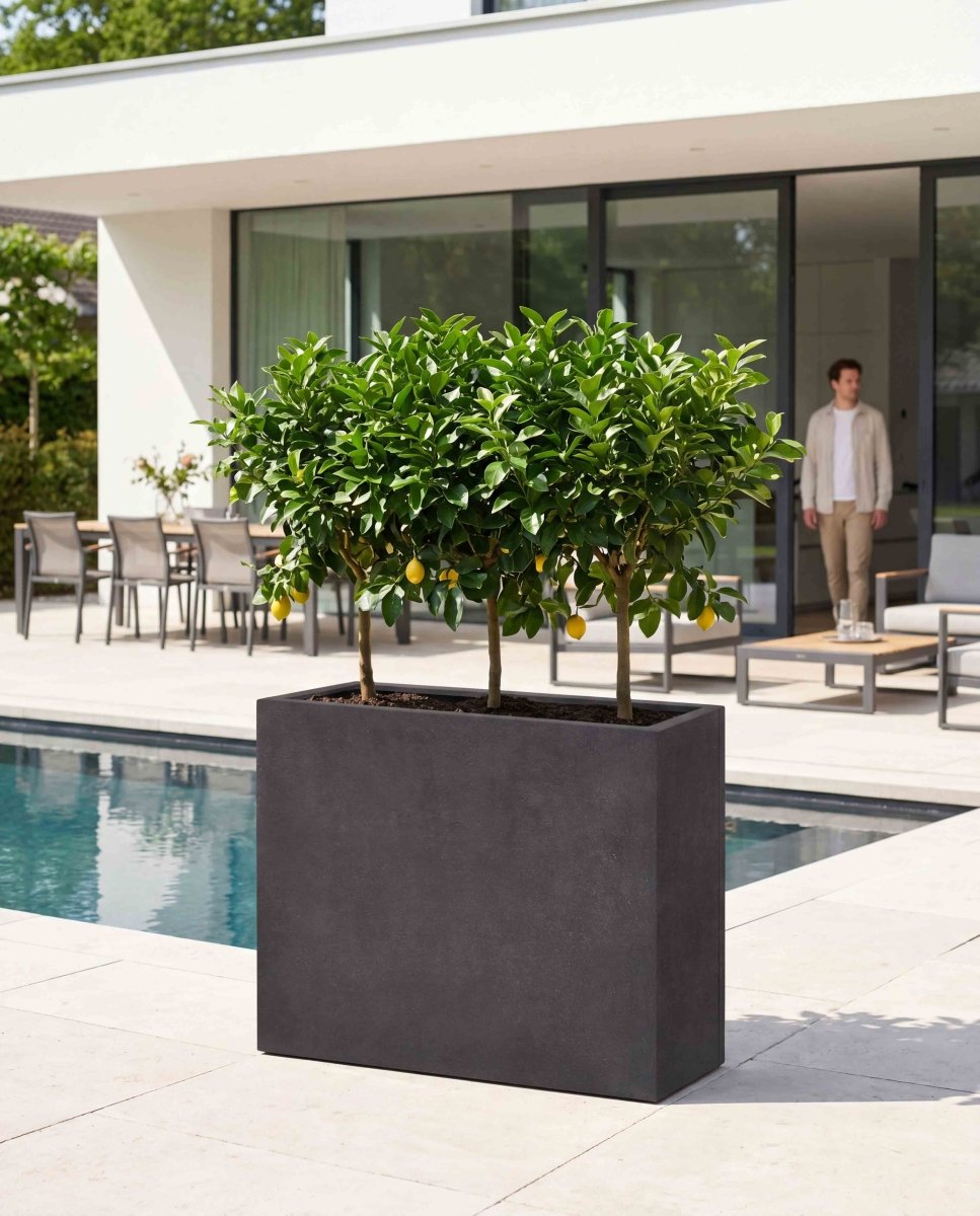 High Box | Loft Collection | Espresso Black - ESCHBACH