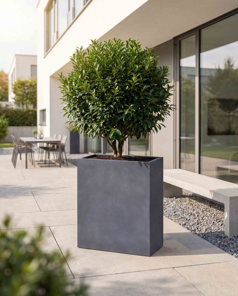 High Box | Loft Collection | Lead Grey - ESCHBACH