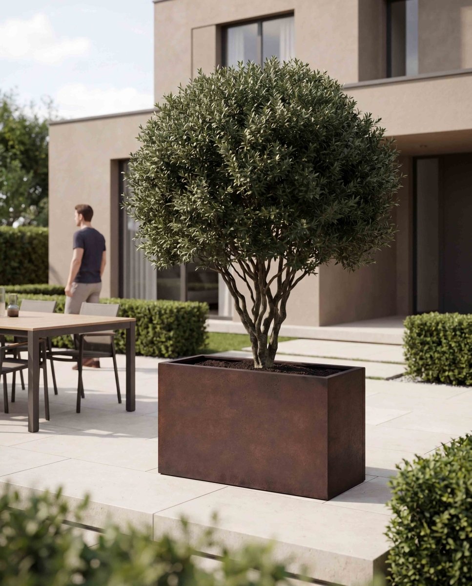 High Box | Loft Collection | Rust Brown - ESCHBACH