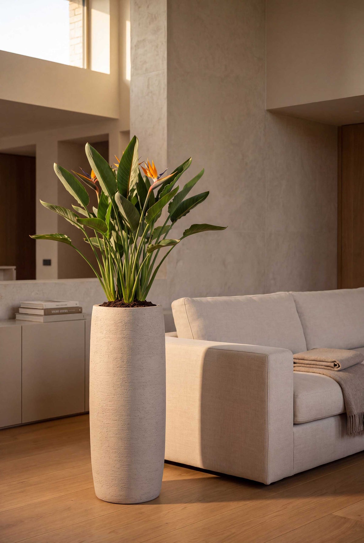 Long Barrel | Terra Collection | Desert Beige