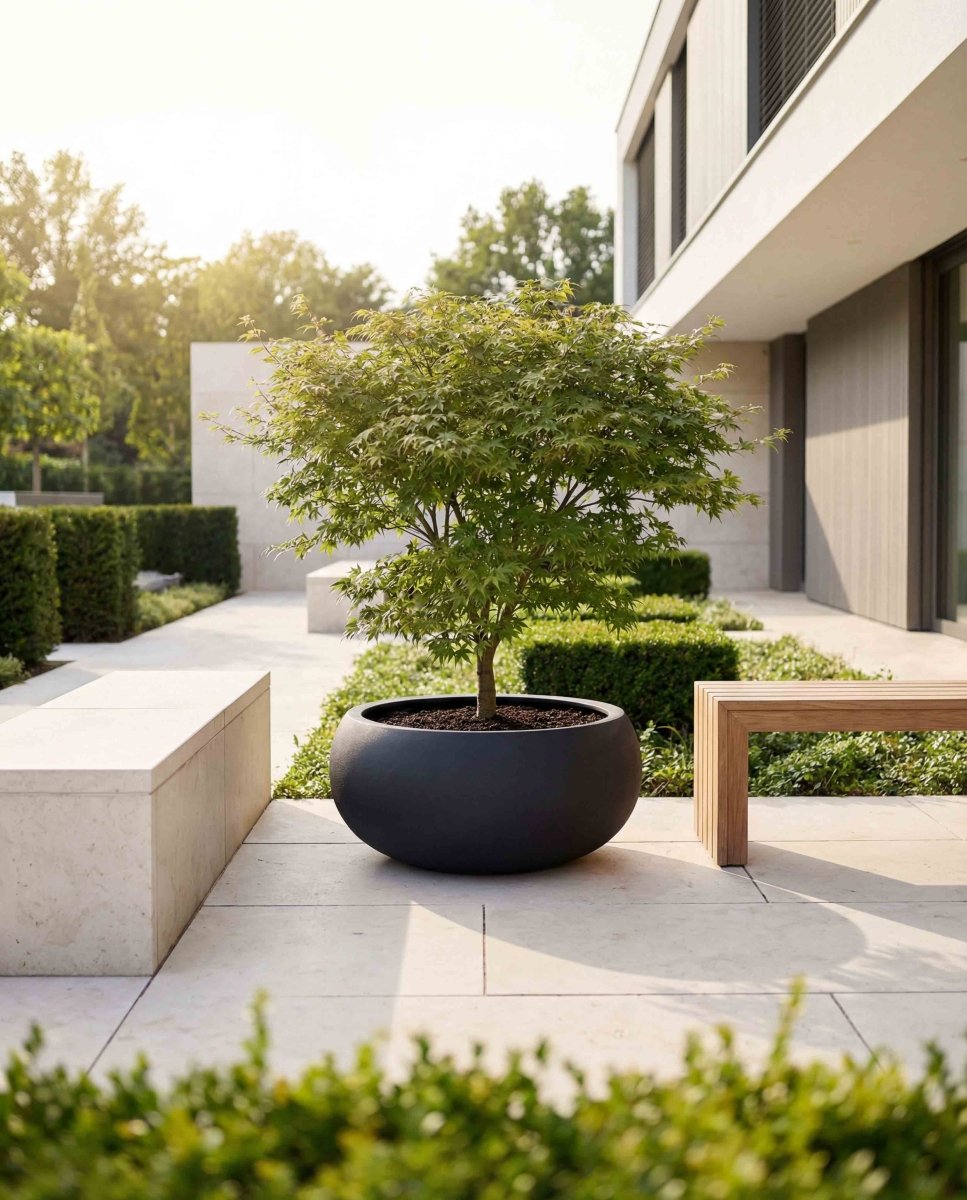 Low Balloon | Pure Collection | Onyx Black - ESCHBACH