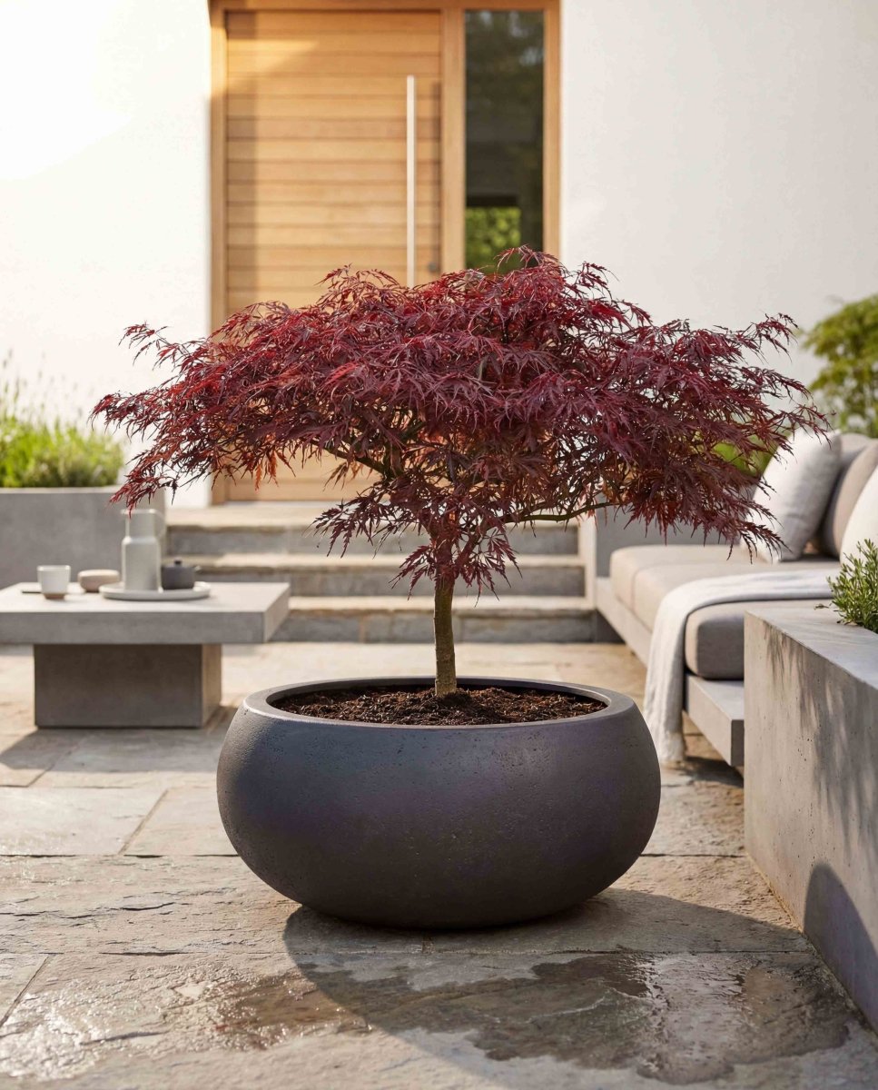 Low Balloon | Loft Collection | Espresso Black - ESCHBACH