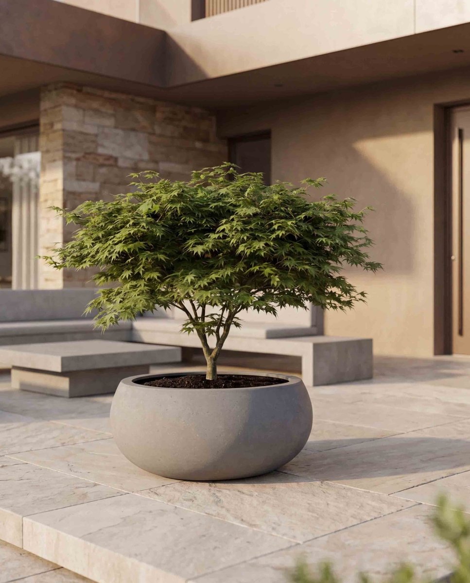 Low Balloon | Loft Collection | Concrete Grey - ESCHBACH