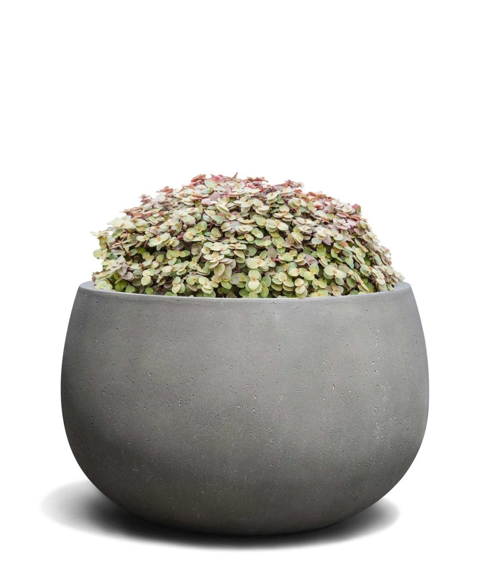 Balloon | Loft Collection | Concrete Grey - ESCHBACH