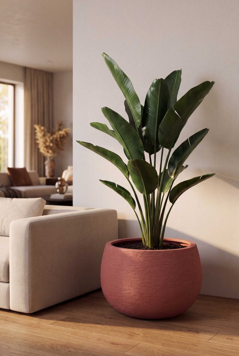 Balloon | Terra Collection | Siena Red - ESCHBACH