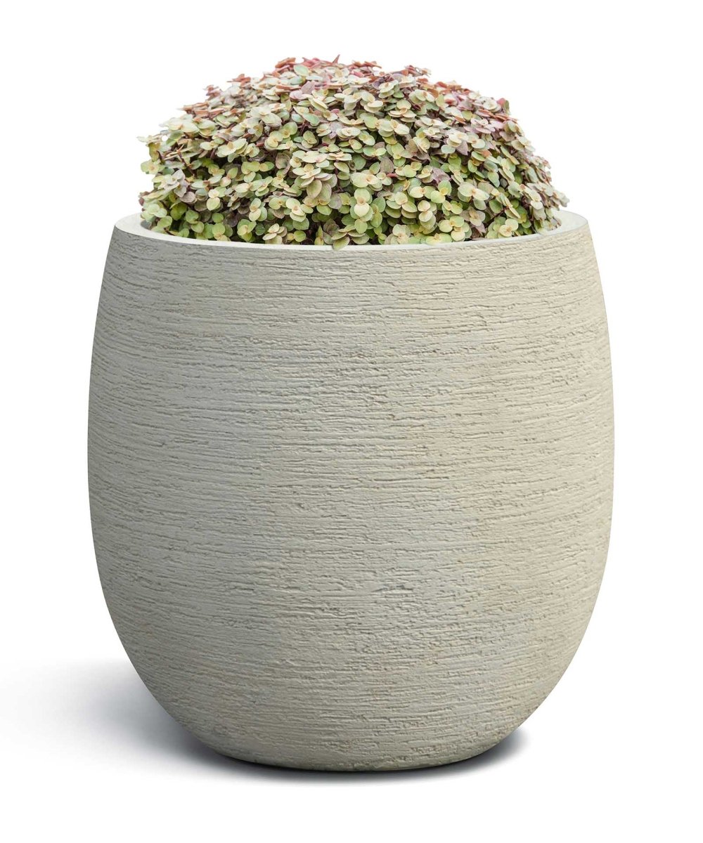 High Balloon | Terra Collection | Champagne White - ESCHBACH