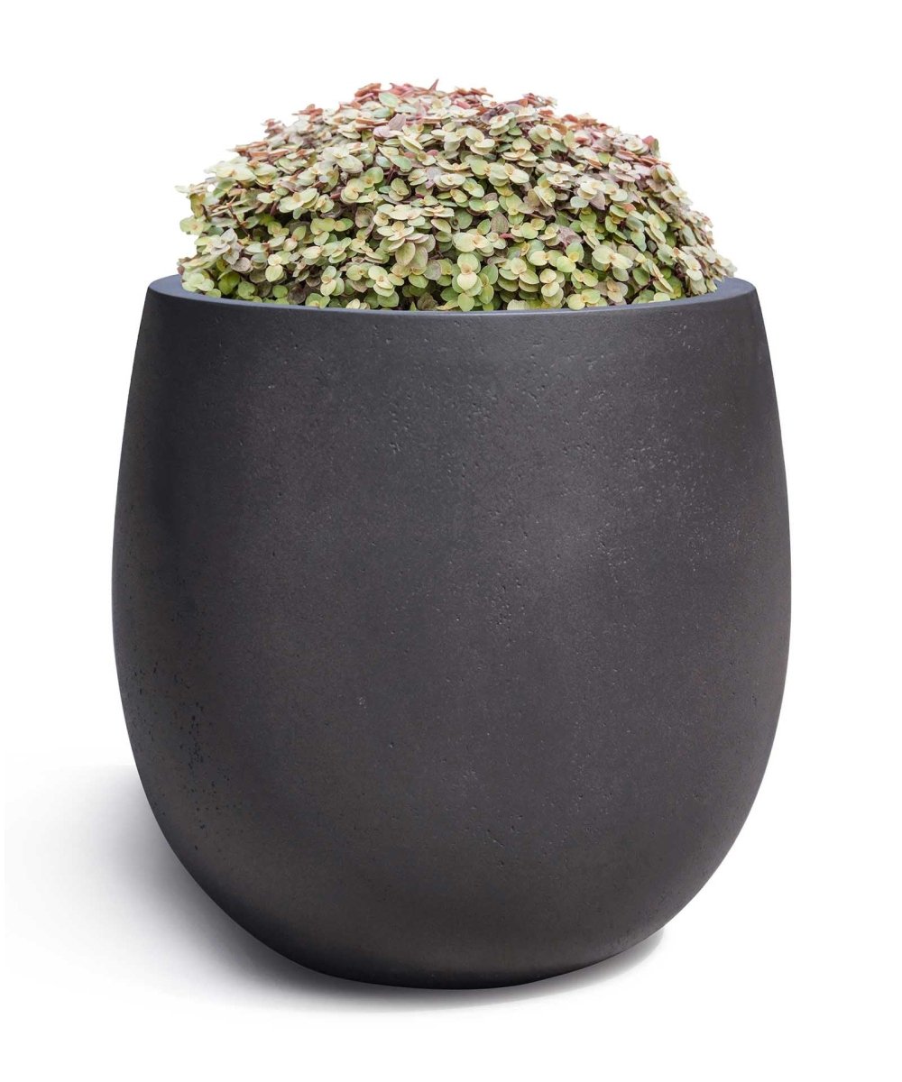 High Balloon | Loft Collection | Espresso Black