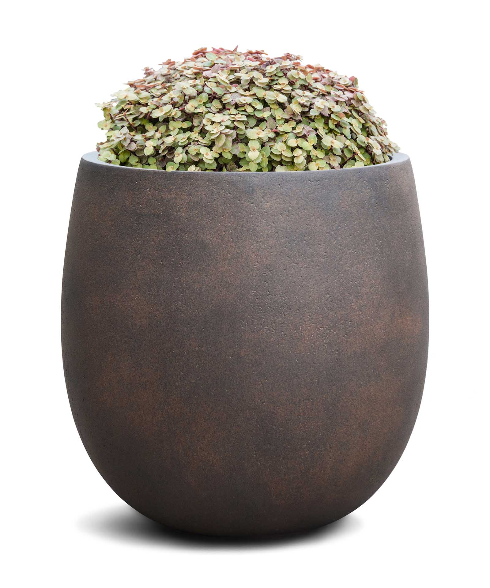 High Balloon | Loft Collection | Rust Brown