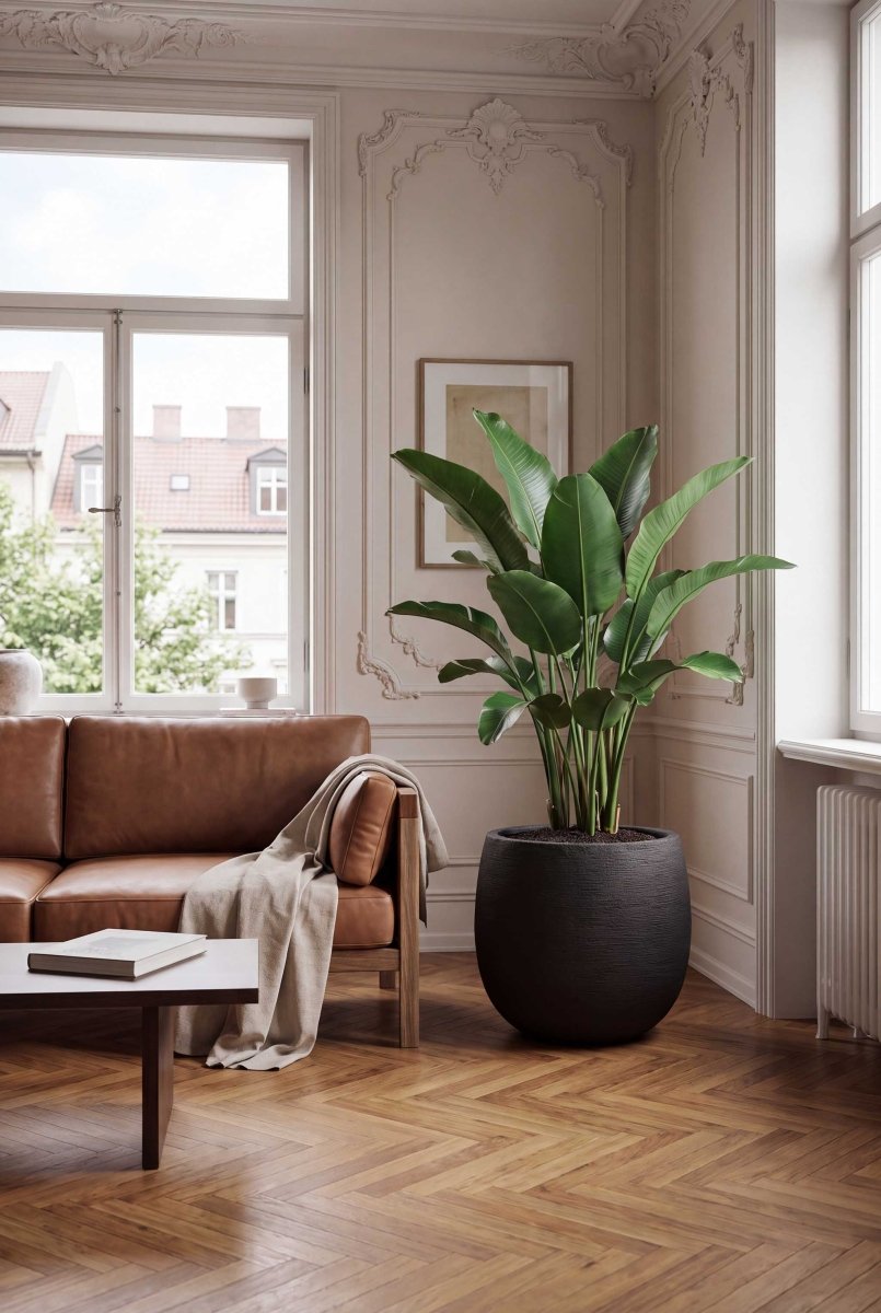High Balloon | Terra Collection | Black Sand - ESCHBACH