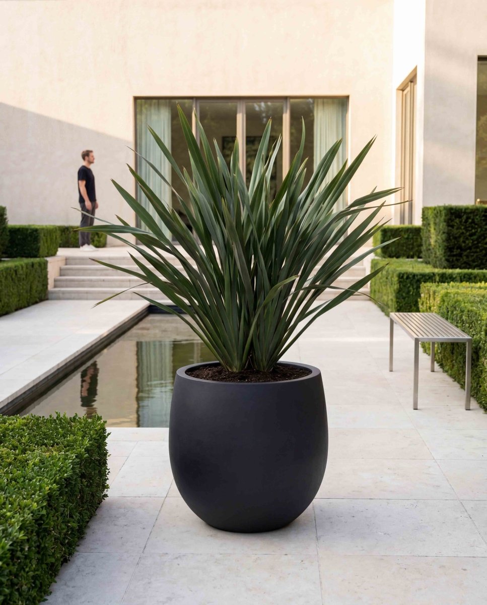 High Balloon | Pure Collection | Onyx Black - ESCHBACH