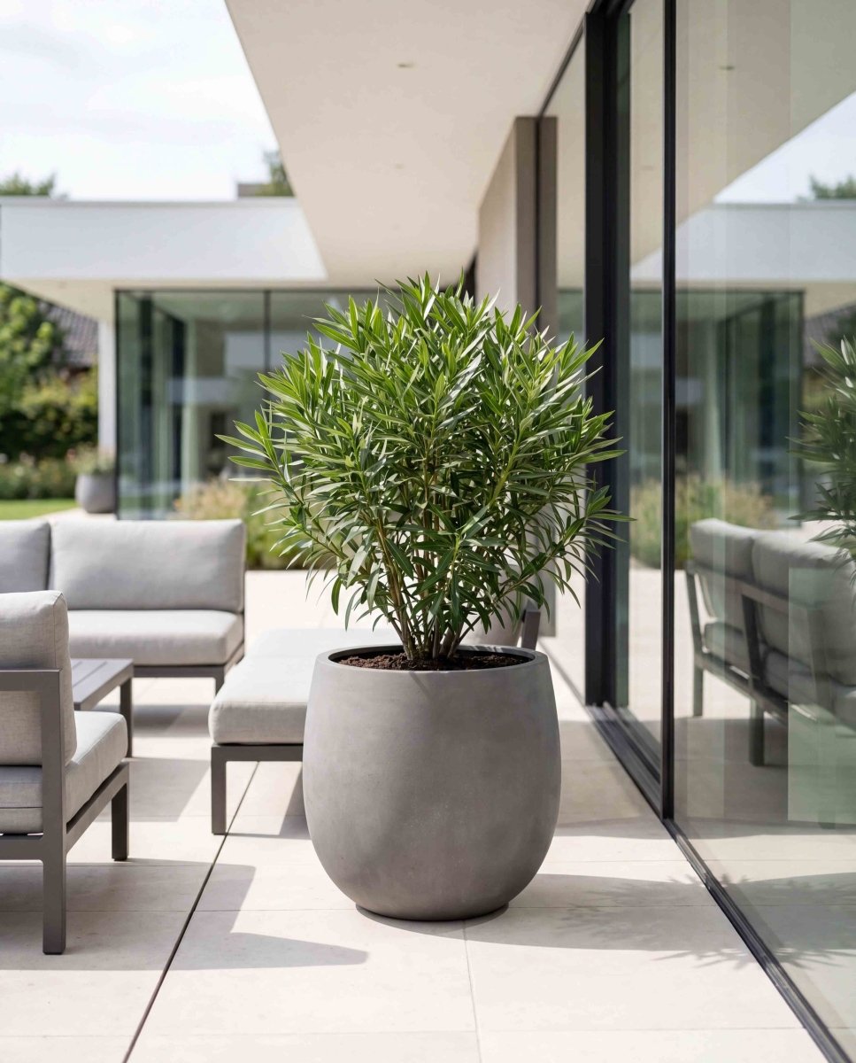 High Balloon | Loft Collection | Concrete Grey - ESCHBACH