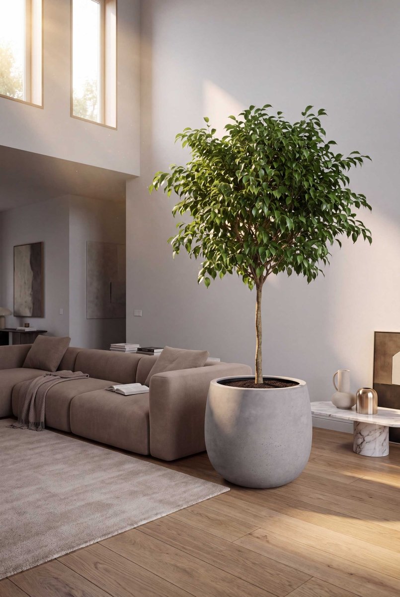 High Balloon | Loft Collection | Light Grey - ESCHBACH