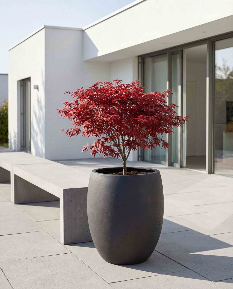 Tall Balloon | Loft Collection | Espresso Black - ESCHBACH