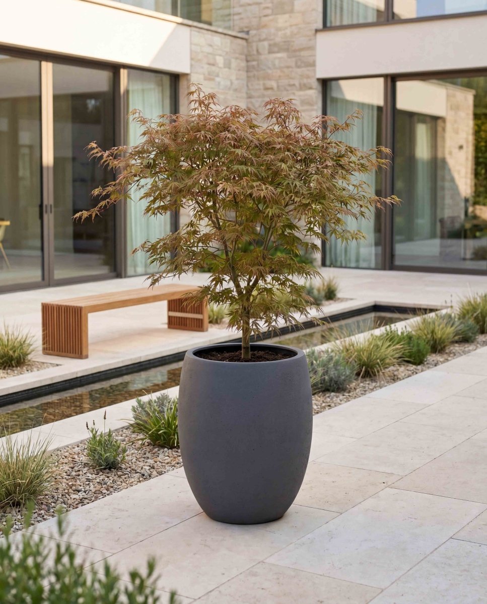 Tall Balloon | Loft Collection | Lead Grey - ESCHBACH