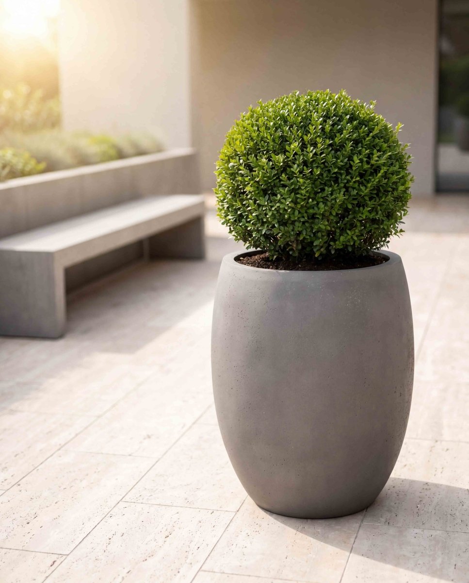 Tall Balloon | Loft Collection | Concrete Grey - ESCHBACH
