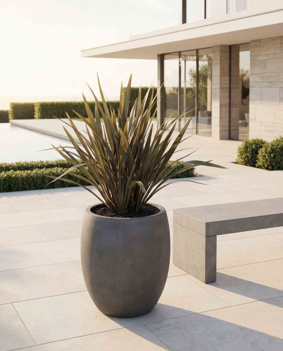 Tall Balloon | Loft Collection | Concrete Grey - ESCHBACH