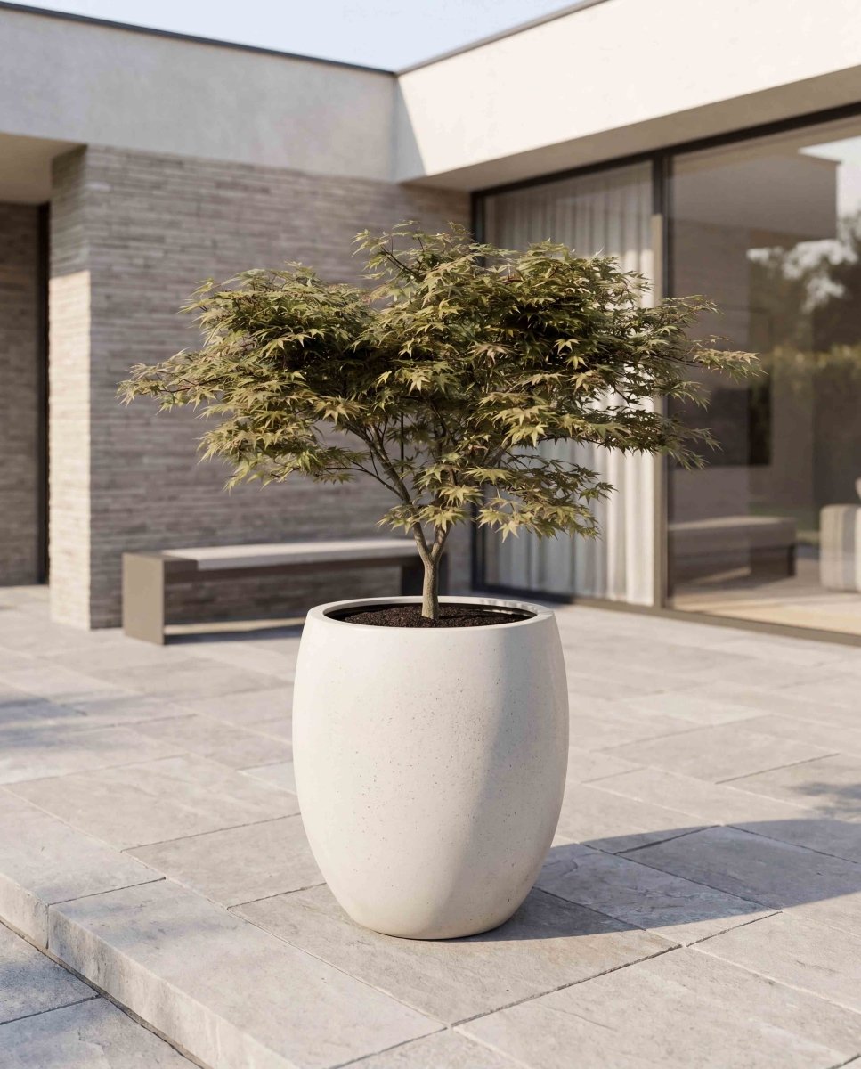 Tall Balloon | Loft Collection | Off White - ESCHBACH