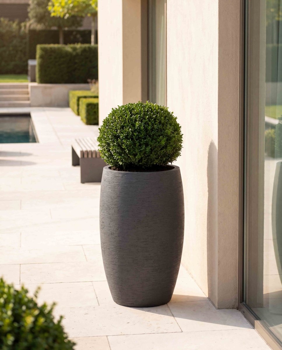 Long Balloon | Terra Collection | Black Sand - ESCHBACH