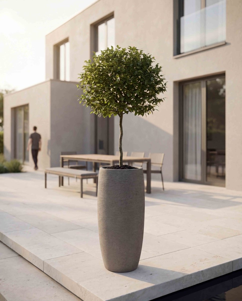 Long Balloon | Terra Collection | Macchiato Grey - ESCHBACH