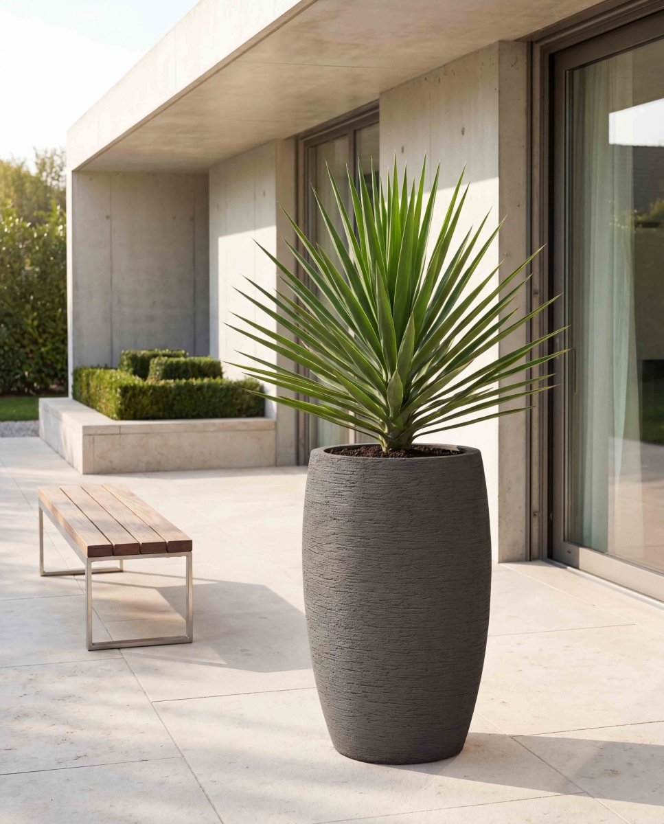 Long Balloon | Terra Collection | Macchiato Grey - ESCHBACH