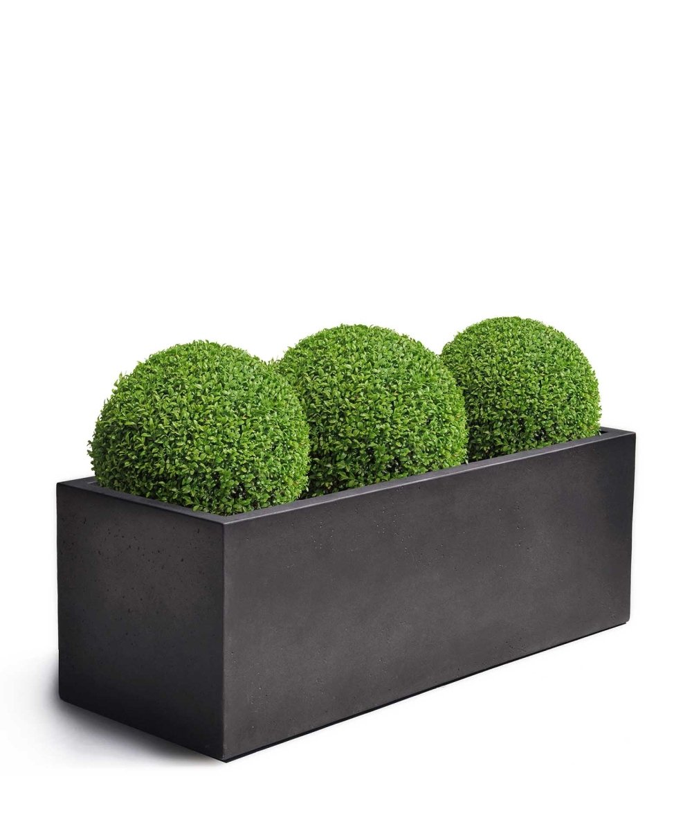 Box | Loft Collection | Espresso Black - ESCHBACH