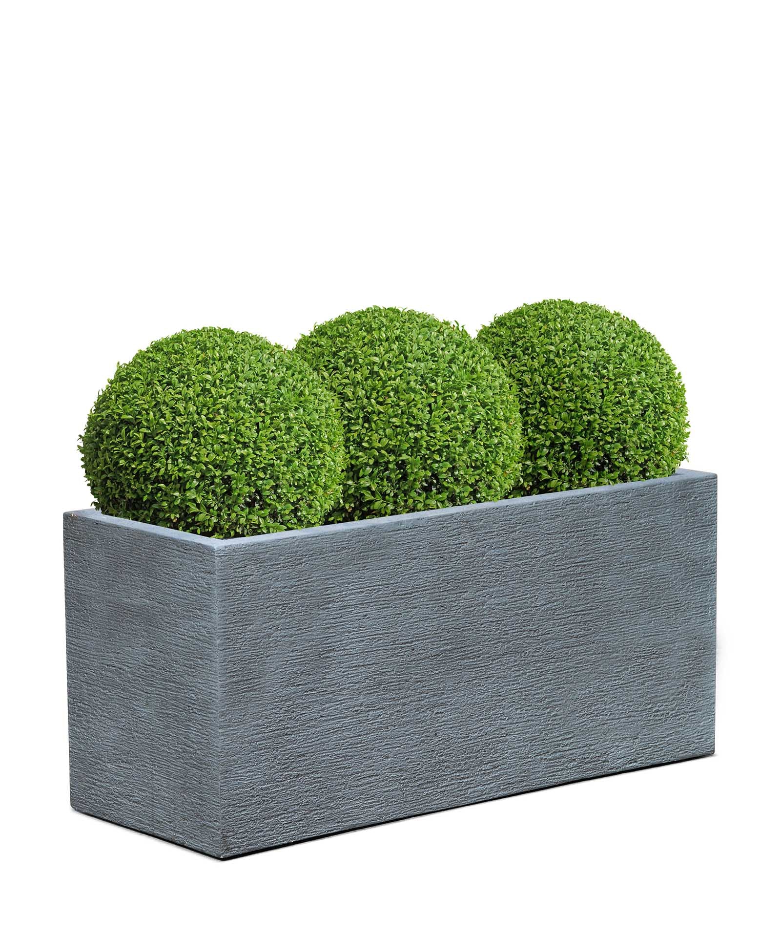 Box | Terra Collection | Lead Grey