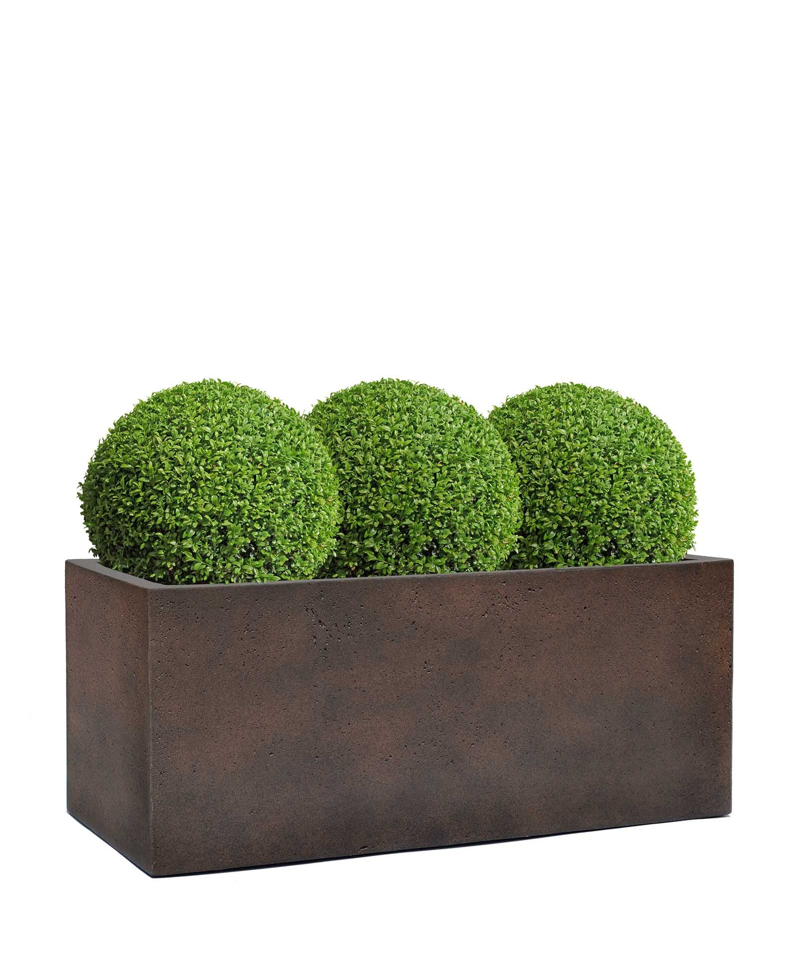 Box | Loft Collection | Rust Brown