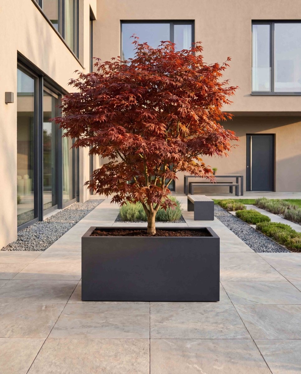 Box | Pure Collection | Onyx Black - ESCHBACH