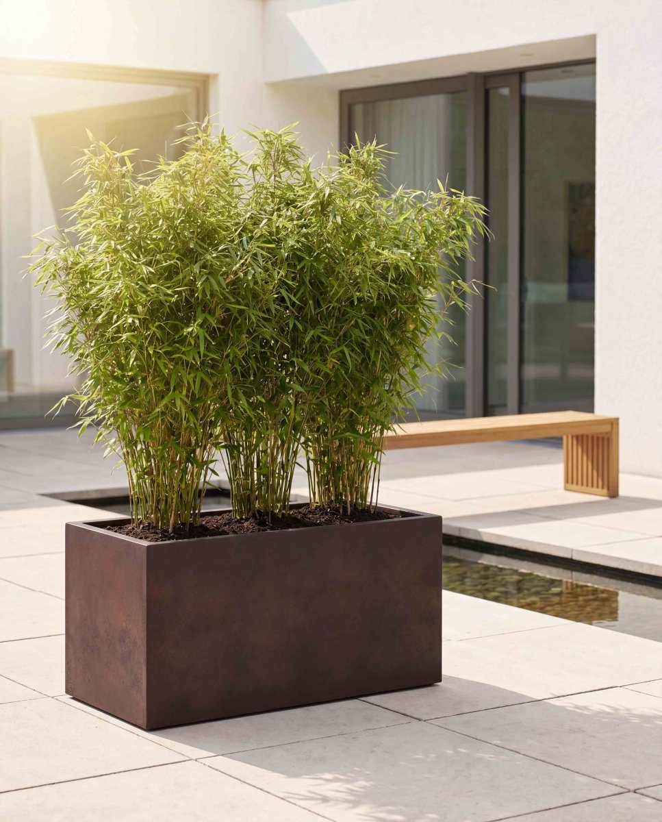 Box | Loft Collection | Rust Brown - ESCHBACH
