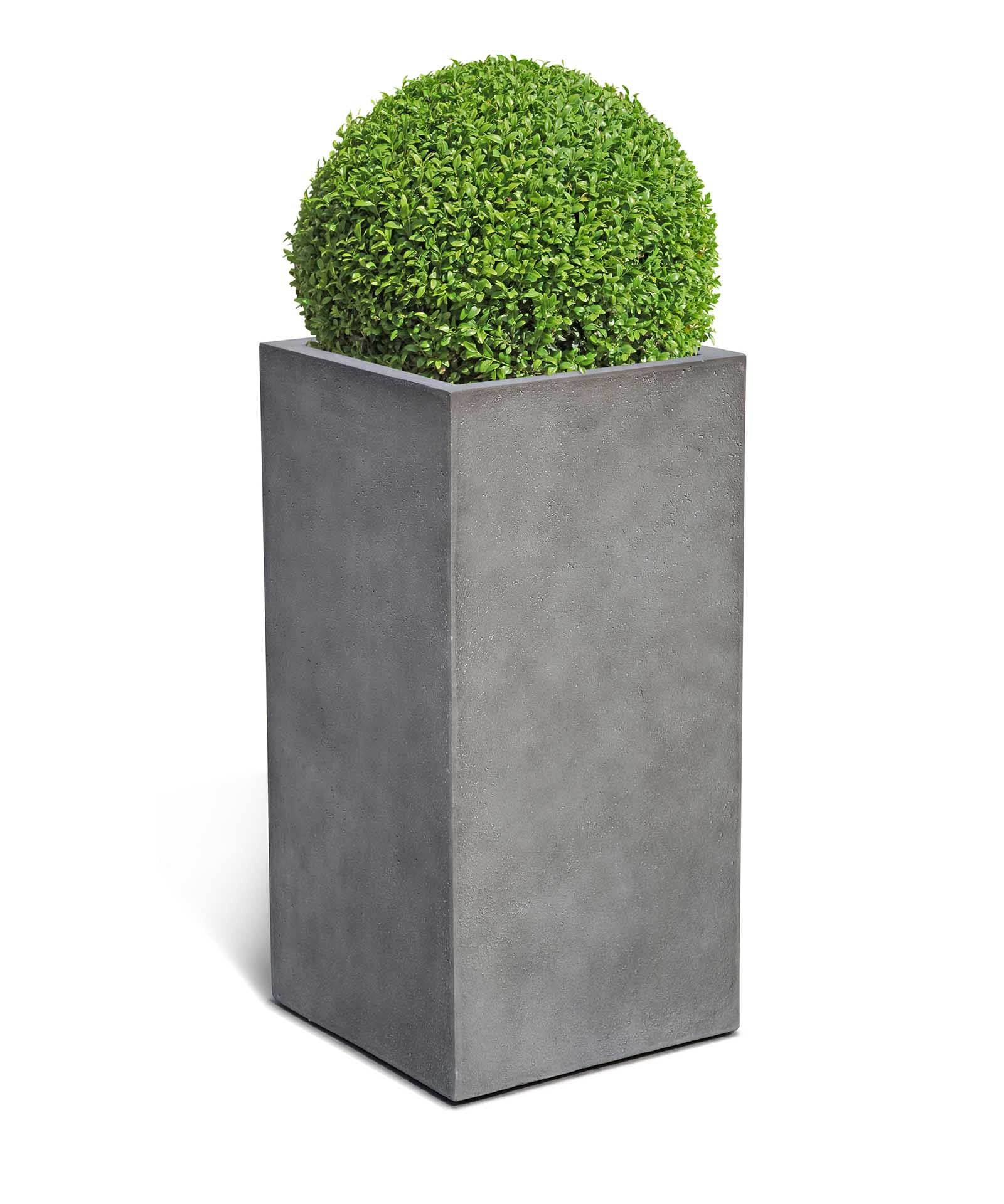 High Cube | Loft Collection | Concrete Grey