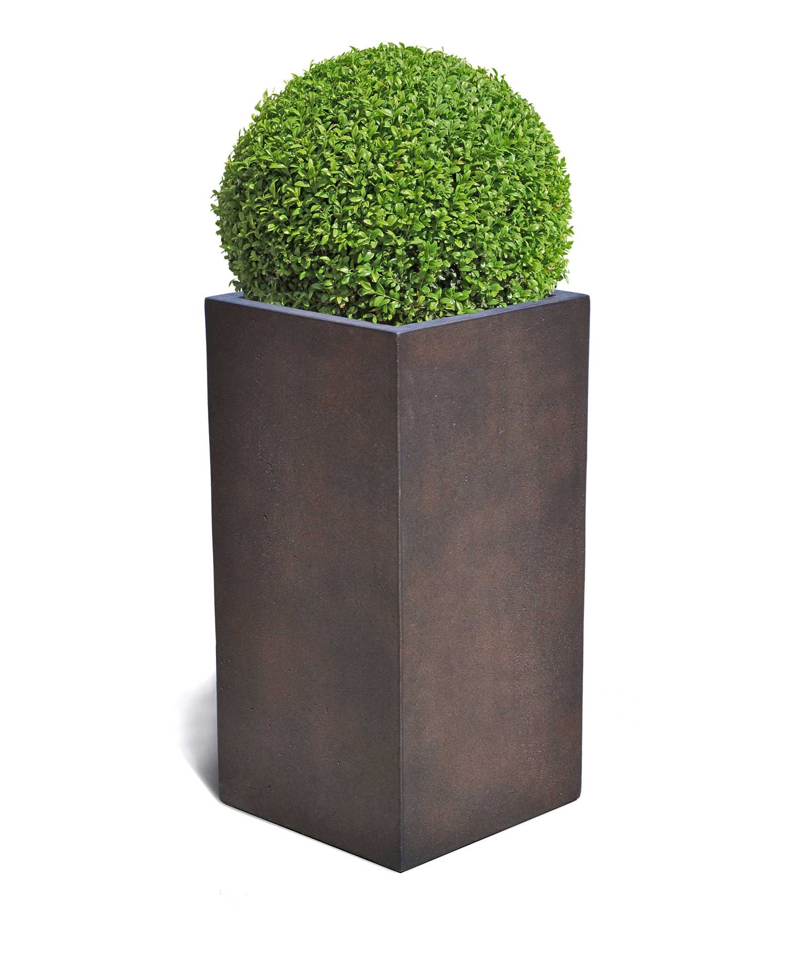 High Cube | Loft Collection | Rust Brown