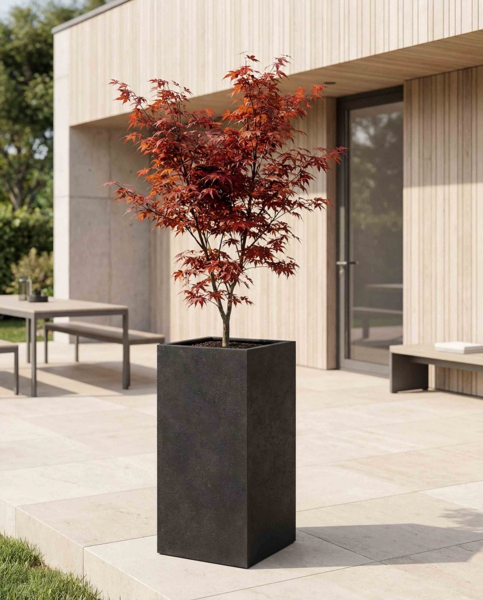 High Cube | Loft Collection | Espresso Black - ESCHBACH