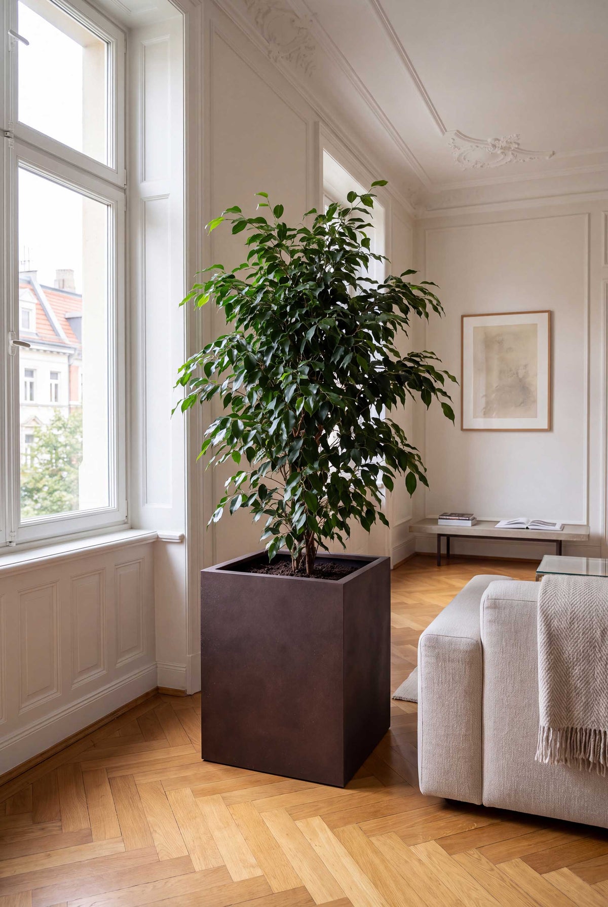 High Cube | Loft Collection | Rust Brown