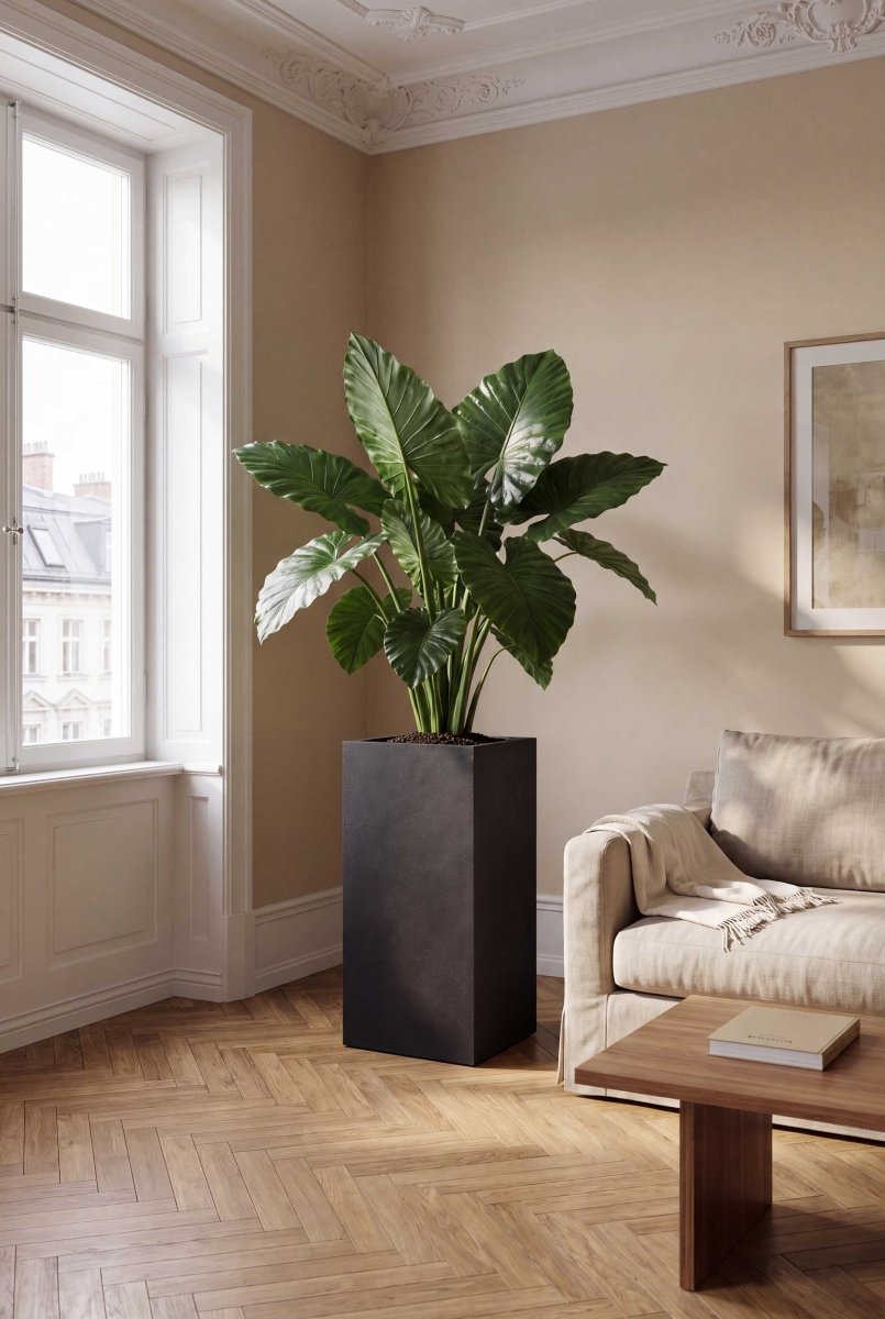 High Cube | Loft Collection | Espresso Black - ESCHBACH