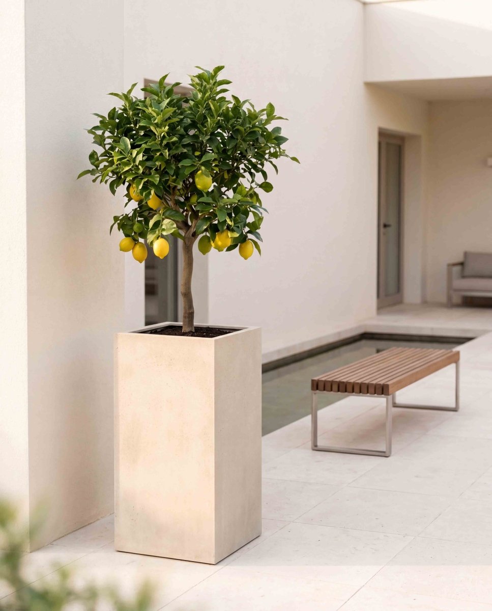 High Cube | Loft Collection | Off White - ESCHBACH