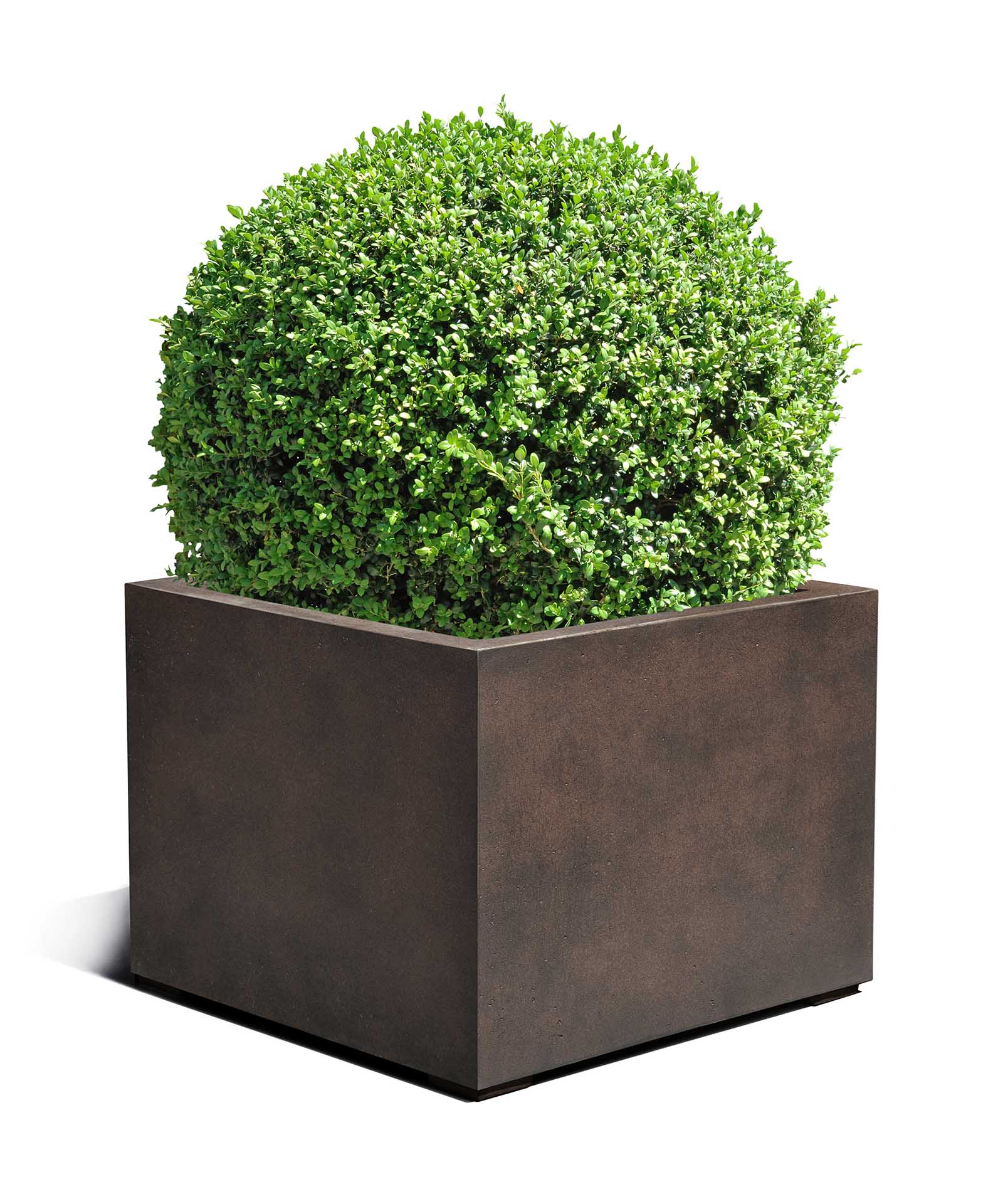 Low Cube | Loft Collection | Rust Brown