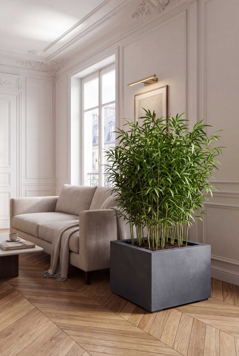 Low Cube | Loft Collection | Lead Grey - ESCHBACH