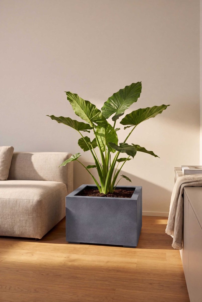 Low Cube | Loft Collection | Lead Grey - ESCHBACH