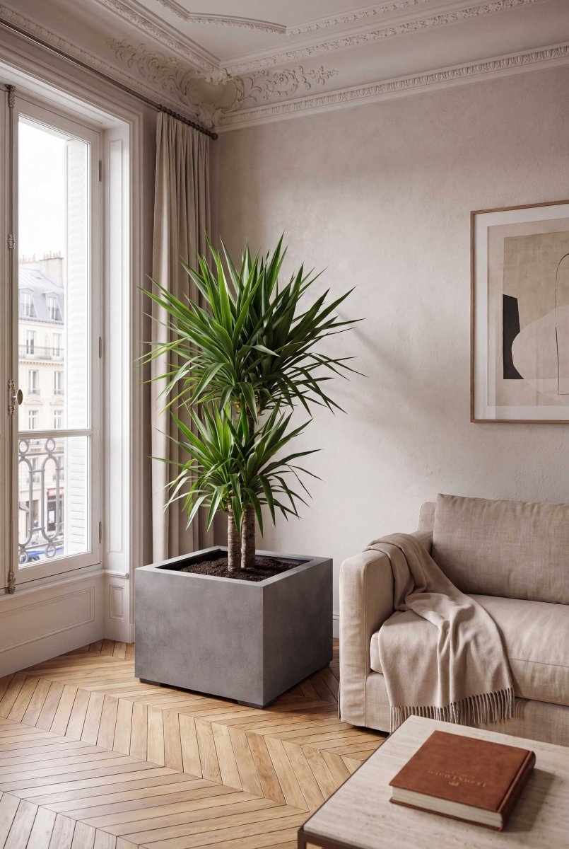 Low Cube | Loft Collection | Concrete Grey - ESCHBACH