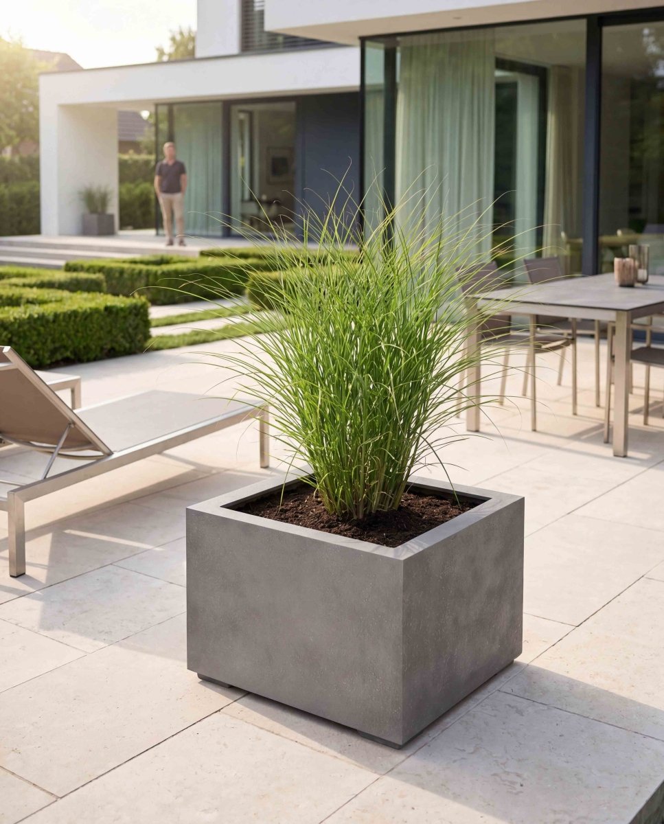 Low Cube | Loft Collection | Concrete Grey - ESCHBACH