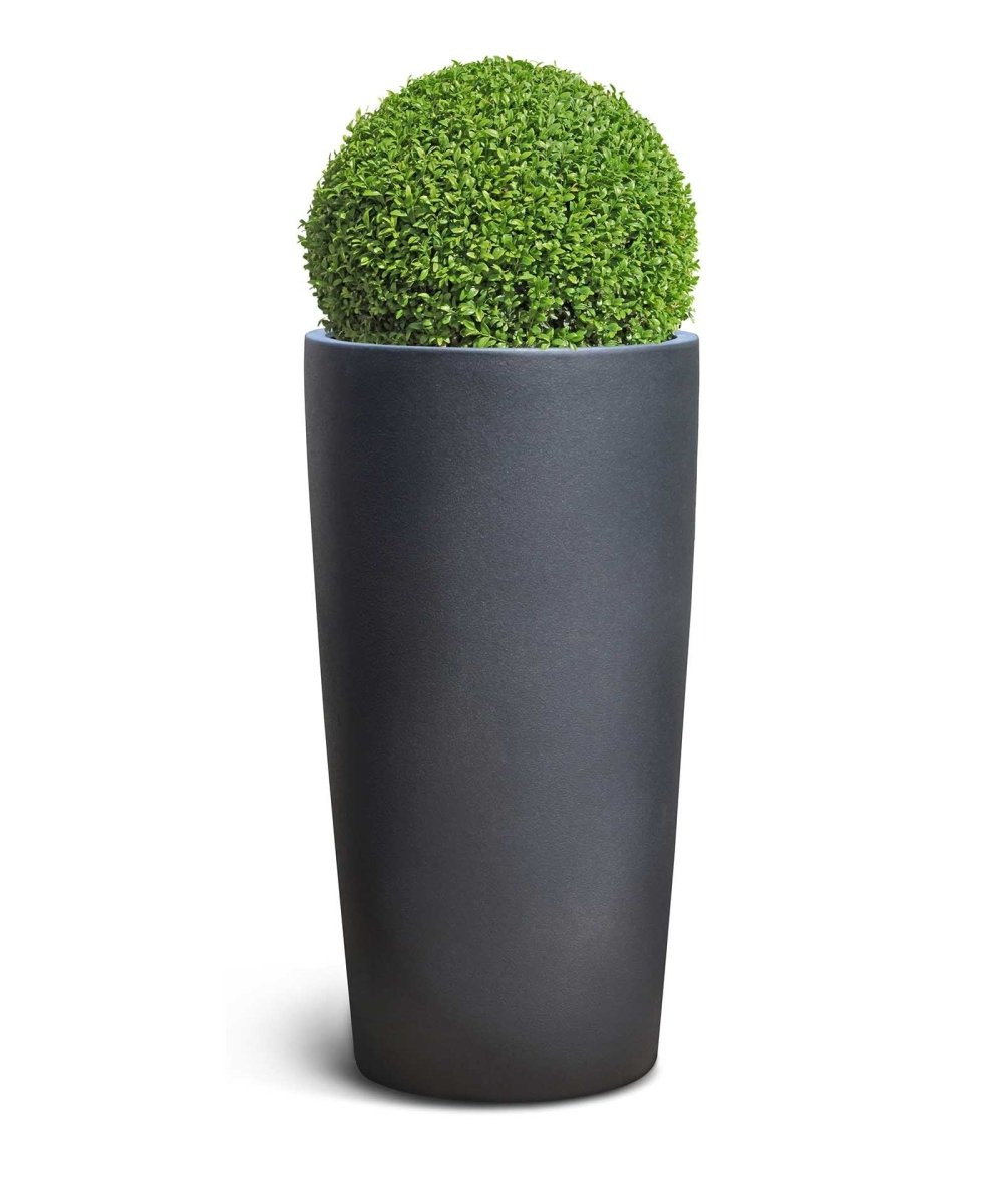 High Conus | Pure Collection | Onyx Black - ESCHBACH