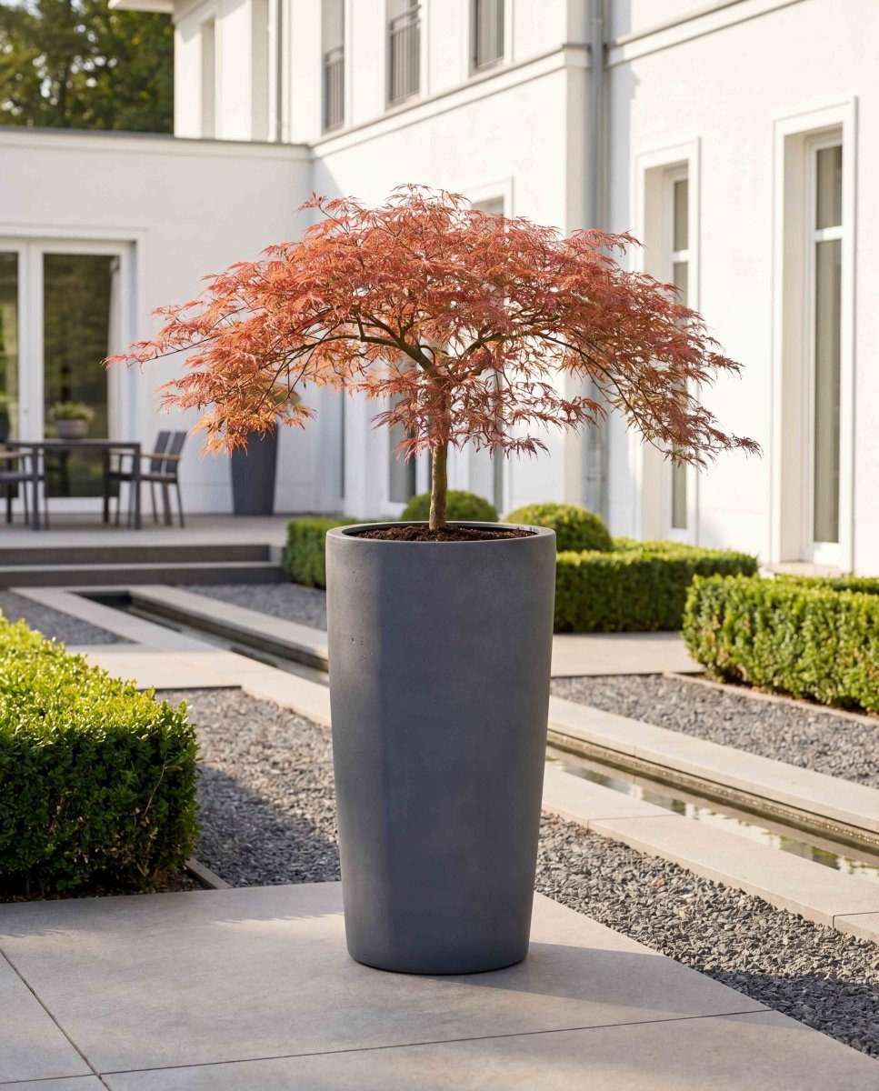 High Conus | Loft Collection | Lead Grey - ESCHBACH
