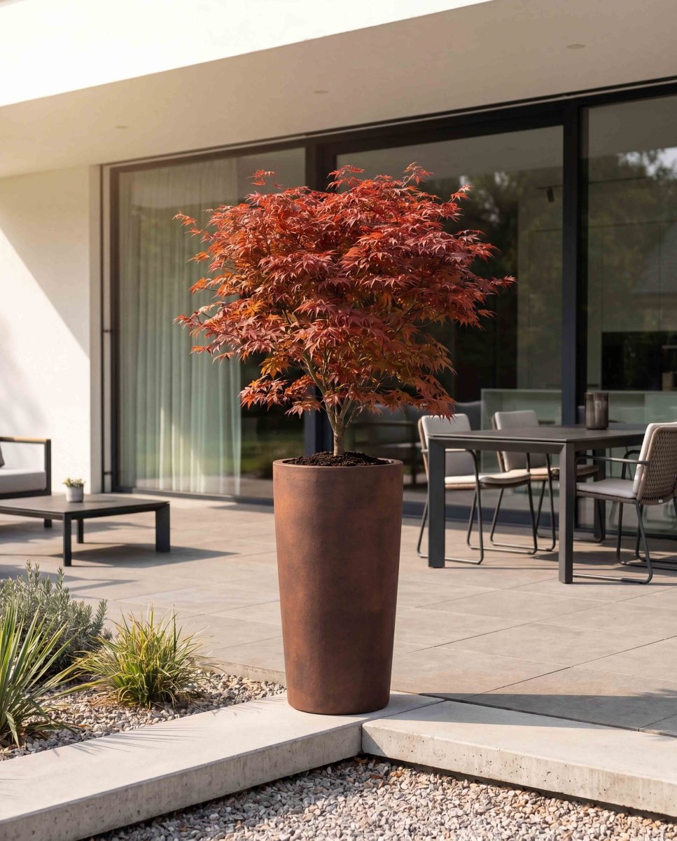 High Conus | Loft Collection | Rust Brown - ESCHBACH