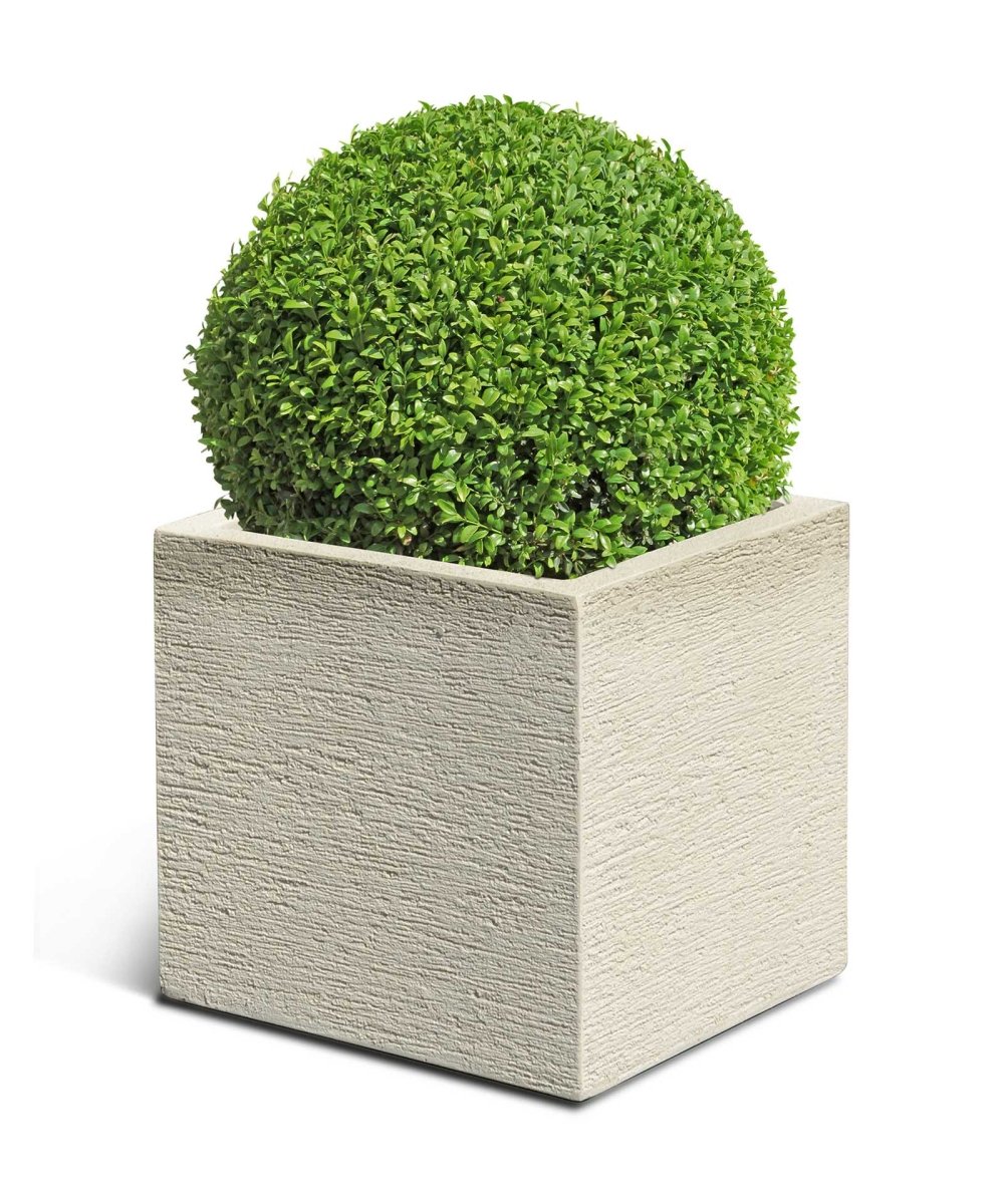 Cube | Terra Collection | Champagne White - ESCHBACH