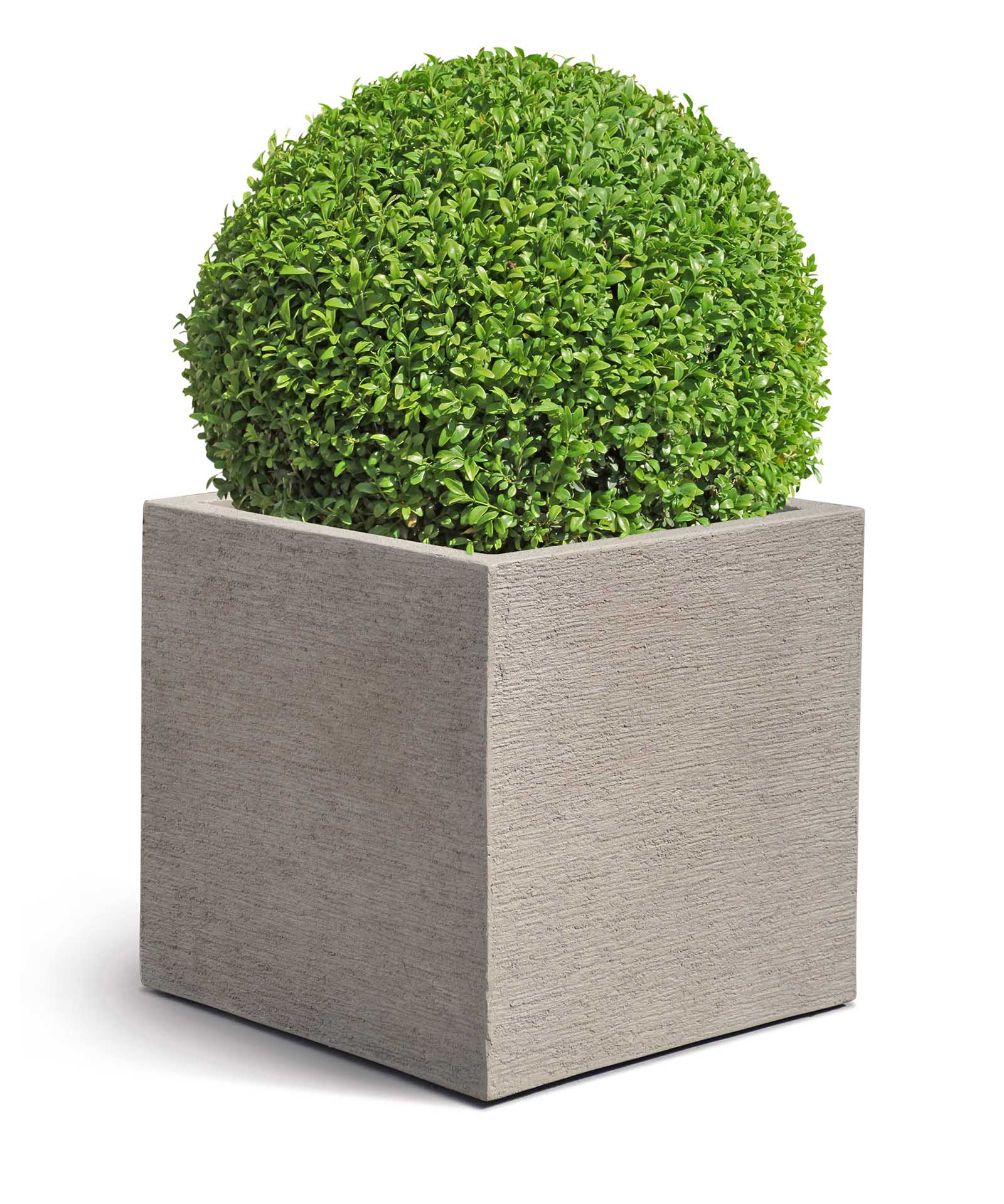 Cube | Terra Collection | Desert Beige