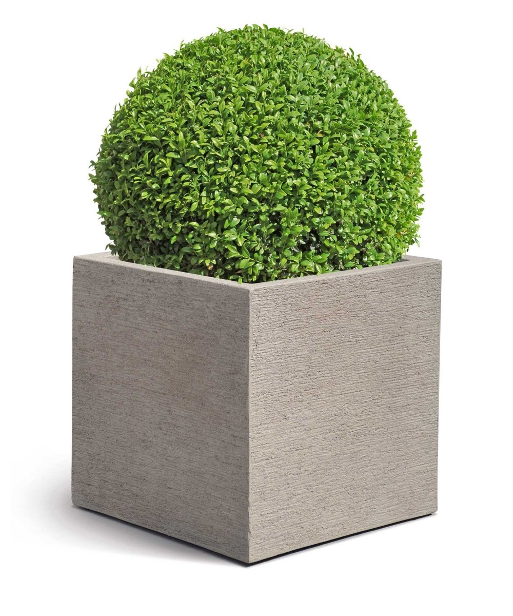 Cube | Terra Collection | Desert Beige - ESCHBACH