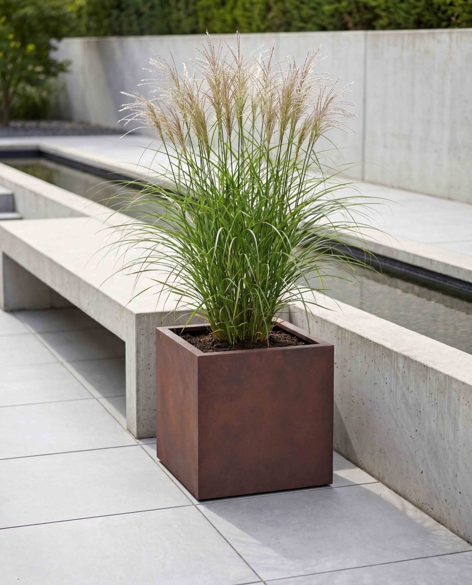 Cube | Loft Collection | Rust Brown - ESCHBACH