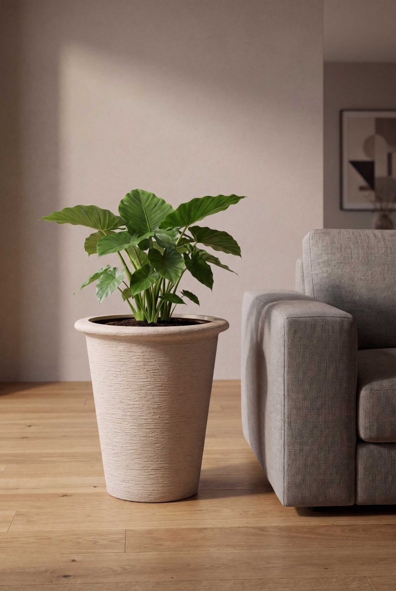 Tall Classic Vase | Terra Collection | Desert Beige - ESCHBACH